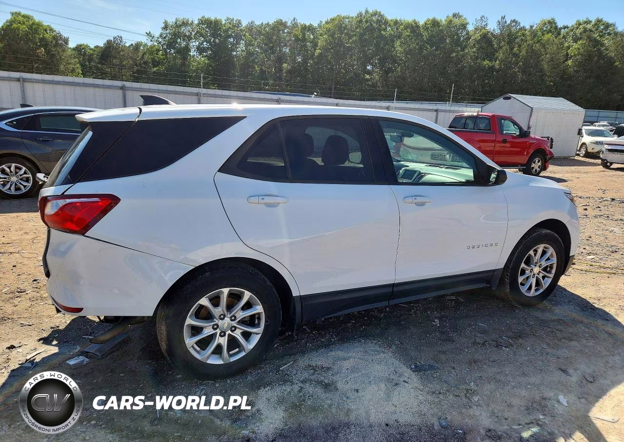2019 Chevrolet Equinox Ls VIN:3GNAXHEV1KS599805 - 3