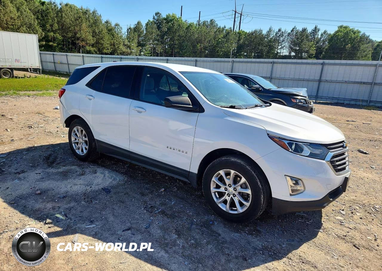 2019 Chevrolet Equinox Ls VIN:3GNAXHEV1KS599805 - 4