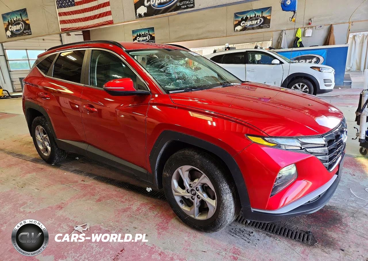 2022 Hyundai Tucson Sel VIN:5NMJBCAE6NH088733 - 4