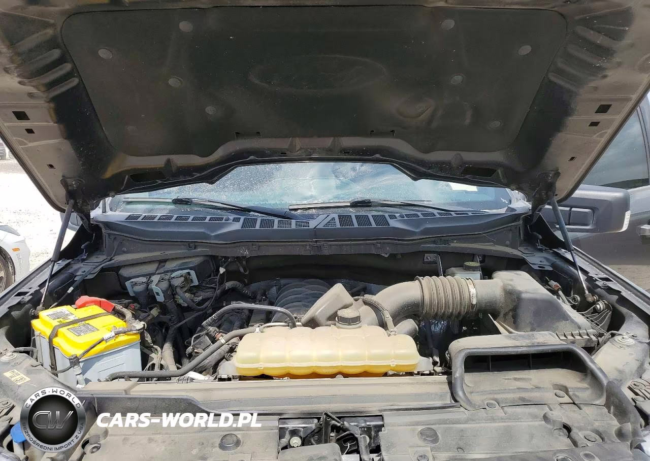2023 Ford F150 Supercrew VIN:1FTFW1E54PFA52418 - 11