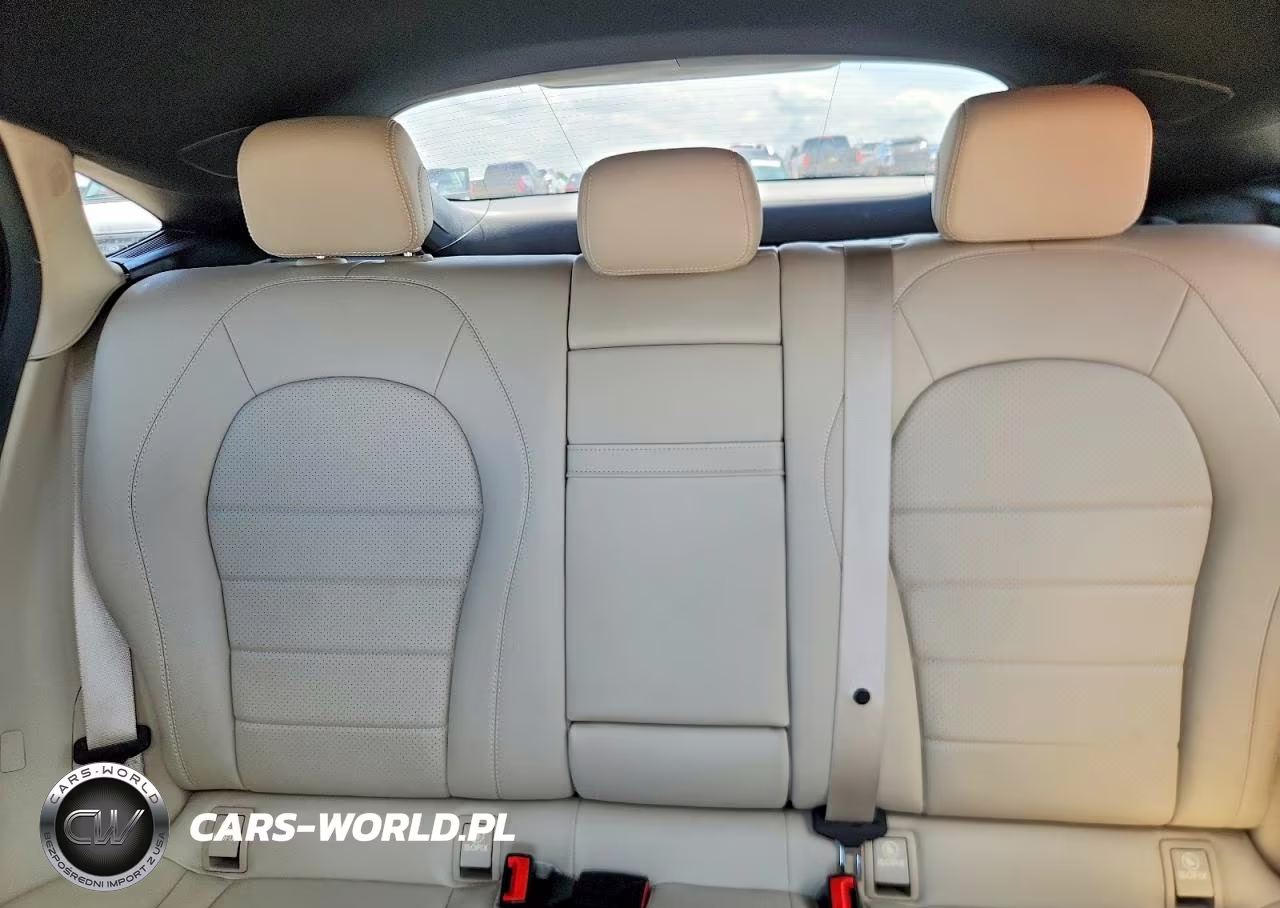 2020 Mercedes-Benz Glc Coupe 300 4Matic VIN:WDC0J8EB0LF685053 - 10