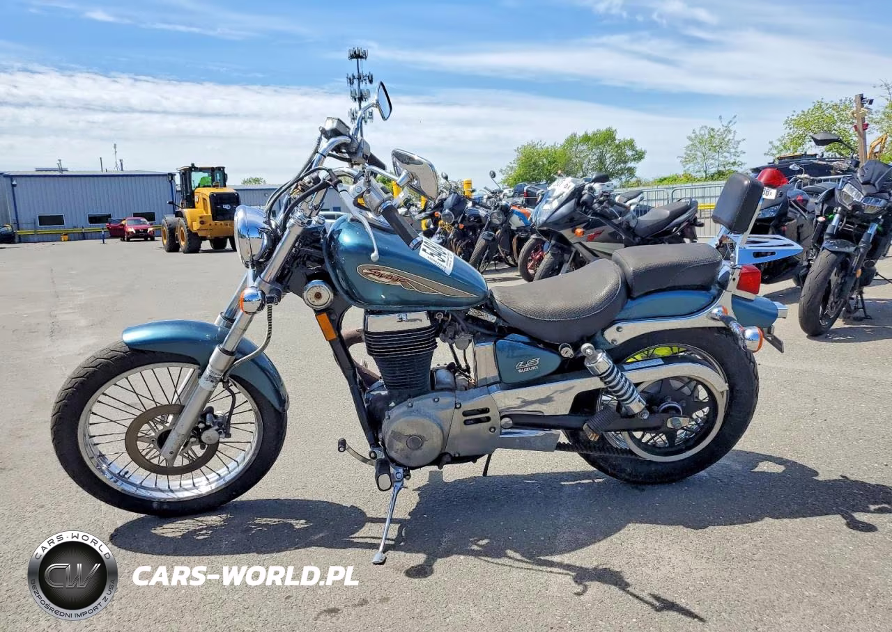 2003 Suzuki Ls650 P VIN:JS1NP41A132100935 - 3