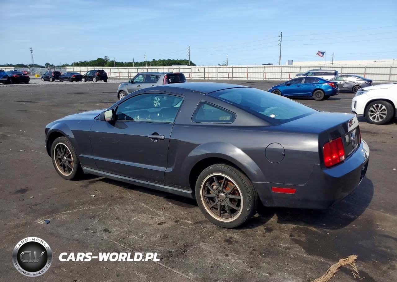 2008 Ford Mustang VIN:1ZVHT80N585109103 - 2