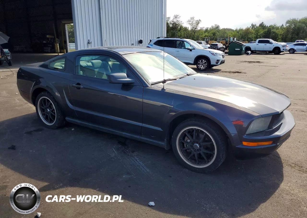2008 Ford Mustang VIN:1ZVHT80N585109103 - 4