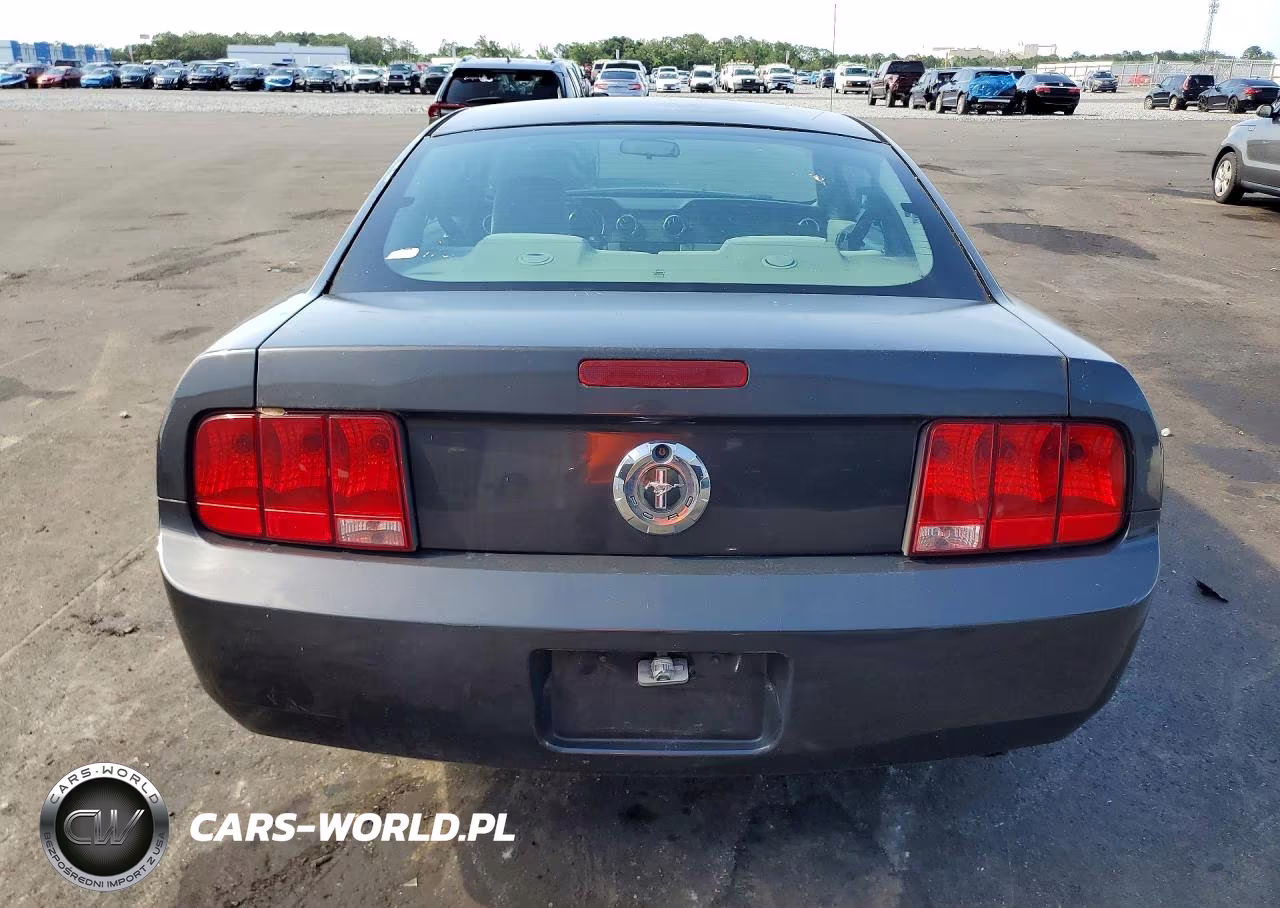 2008 Ford Mustang VIN:1ZVHT80N585109103 - 6