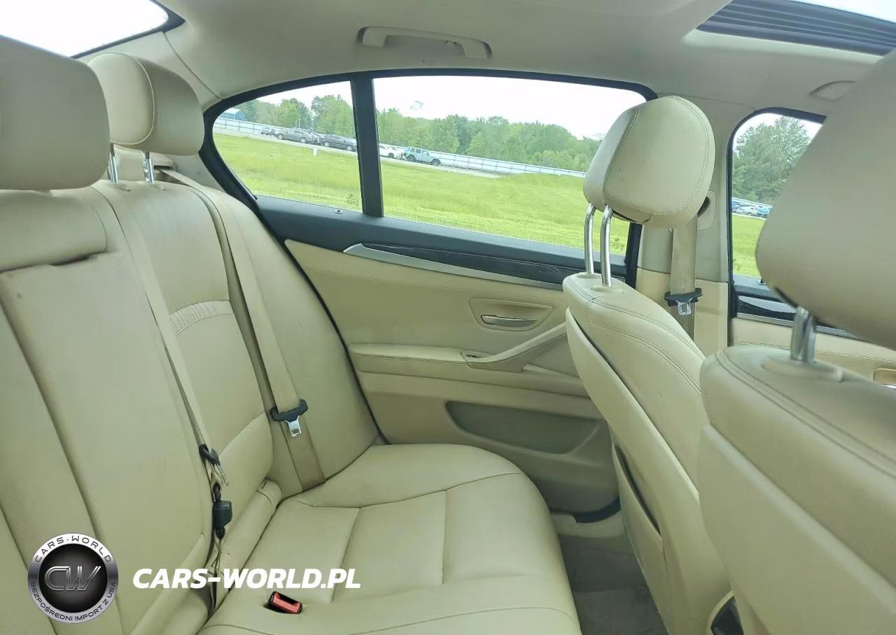 2014 BMW 528 Xi VIN:WBA5A7C59ED219037 - 10