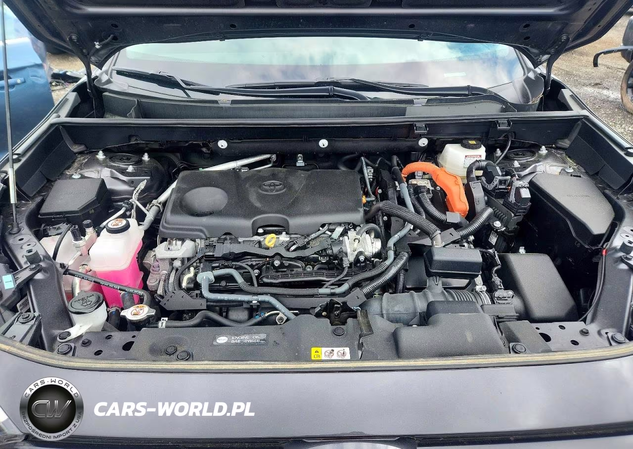 2024 Toyota Rav4 Hybrid Xle VIN:2T3RWRFV6RW222452 - 12