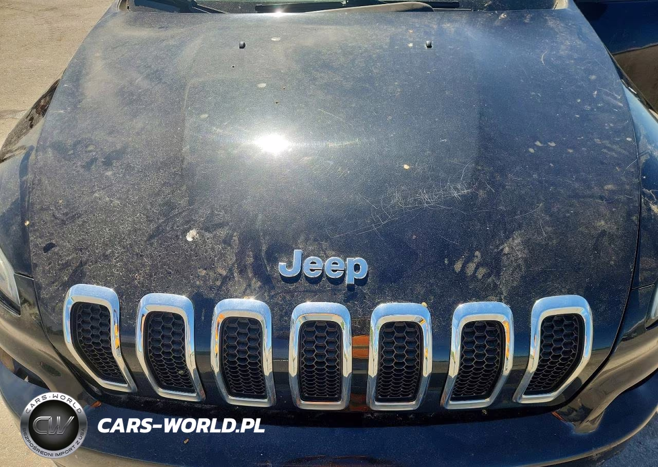 2016 Jeep Cherokee Sport VIN:1C4PJLAB0GW171674 - 11
