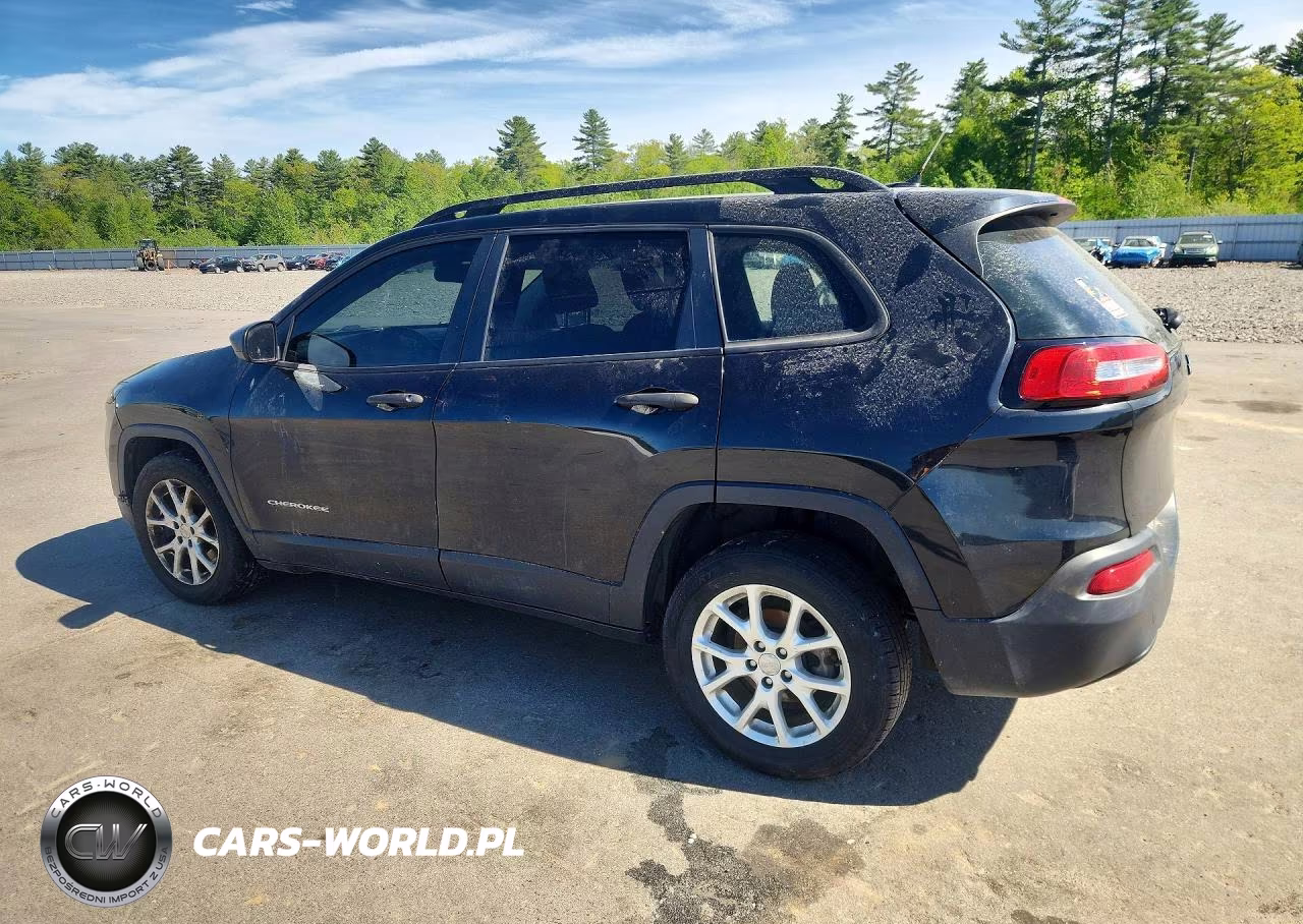 2016 Jeep Cherokee Sport VIN:1C4PJLAB0GW171674 - 2