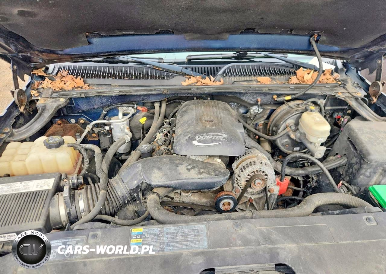 2005 Chevrolet Silverado K1500 VIN:2GCEK19B351171962 - 11