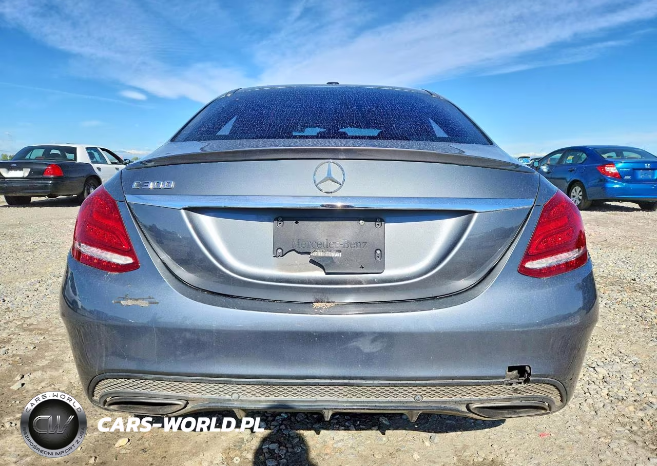 2018 Mercedes-Benz C 300 VIN:55SWF4JB3JU257235 - 6