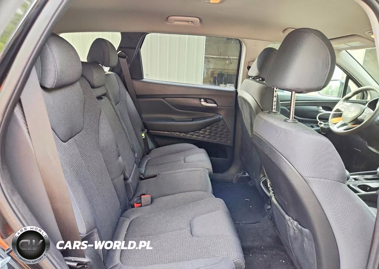 2020 Hyundai Santa Fe VIN:5NMS3CAD4LH192143 - 11