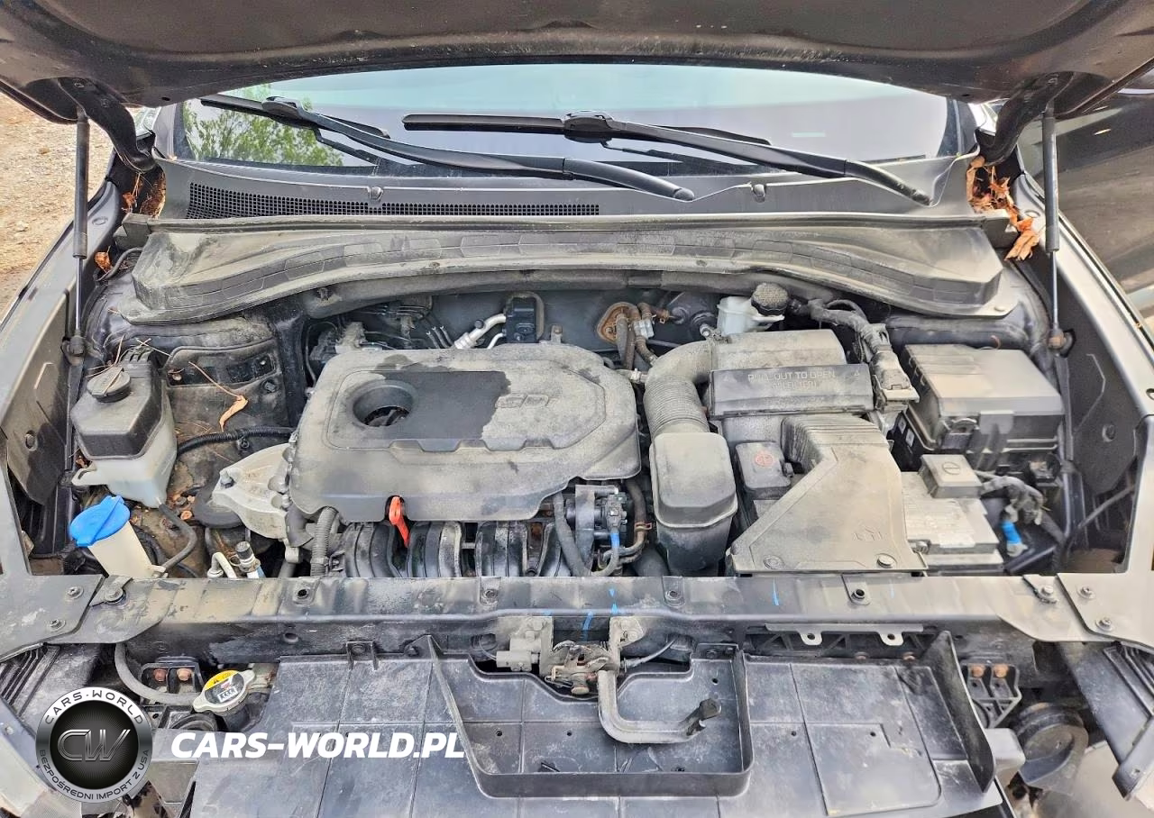 2020 Hyundai Santa Fe VIN:5NMS3CAD4LH192143 - 12