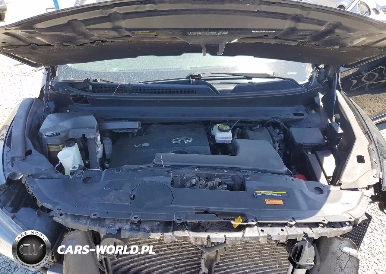 2020 Infiniti Qx60 Pure VIN:5N1DL0MM2LC536260 - 12