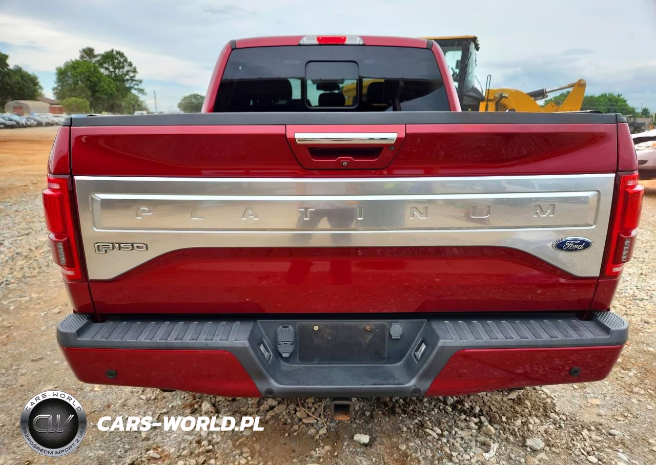 2015 Ford F150 Supercrew VIN:1FTEW1EG9FFB66636 - 6