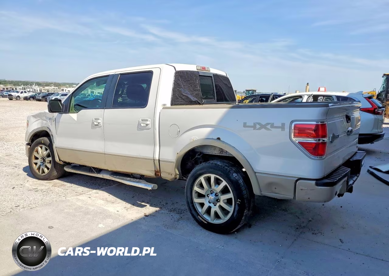 2010 Ford F150 Supercrew VIN:1FTFW1EV3AKB86173 - 2