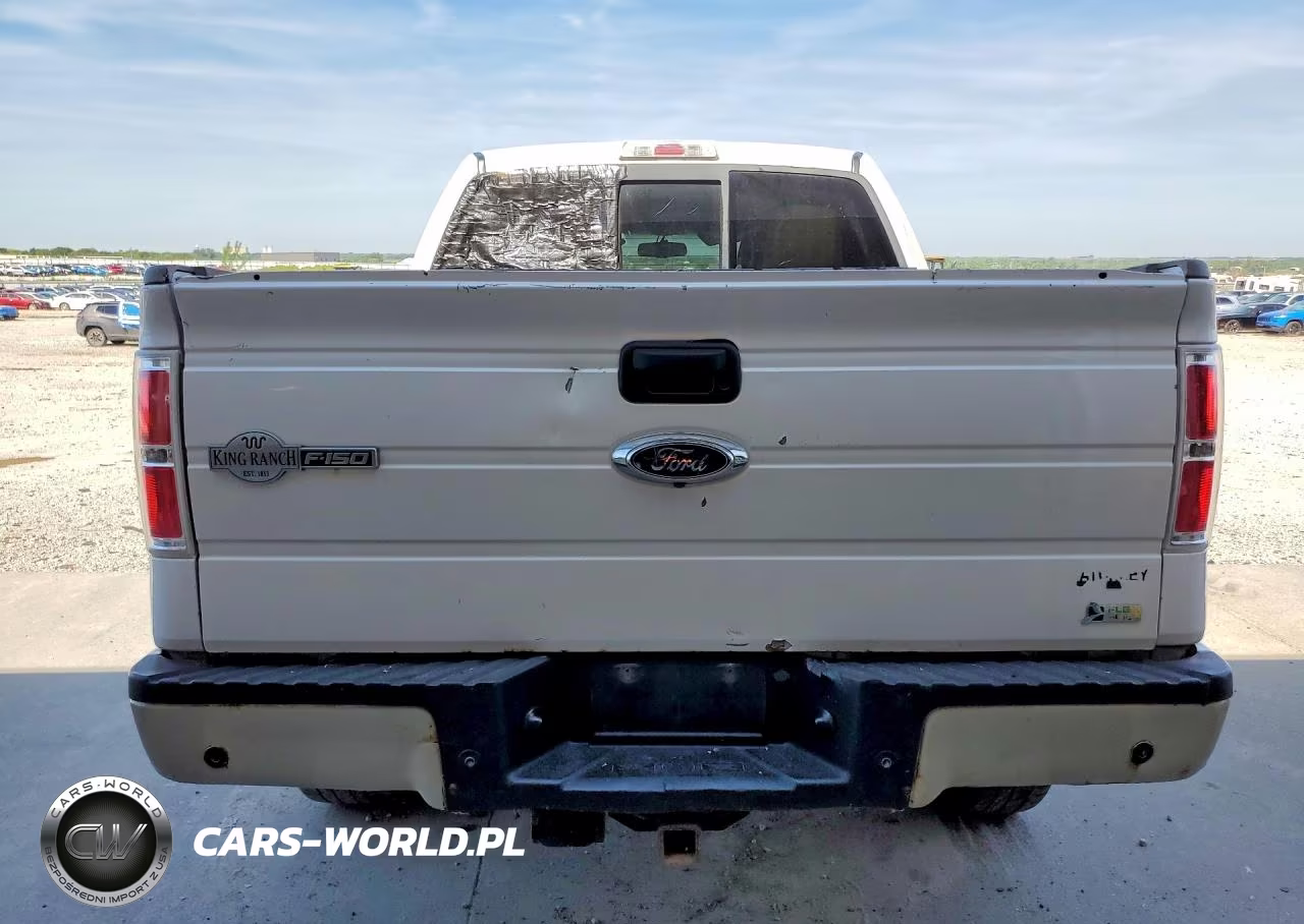 2010 Ford F150 Supercrew VIN:1FTFW1EV3AKB86173 - 6