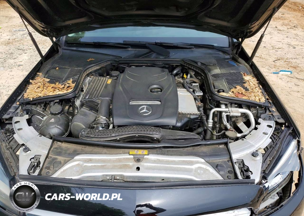 2017 Mercedes-Benz C 300 4Matic VIN:55SWF4KB6HU208815 - 11