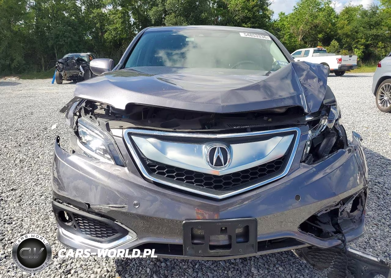 2017 Acura Rdx Advance VIN:5J8TB3H76HL021649 - 5