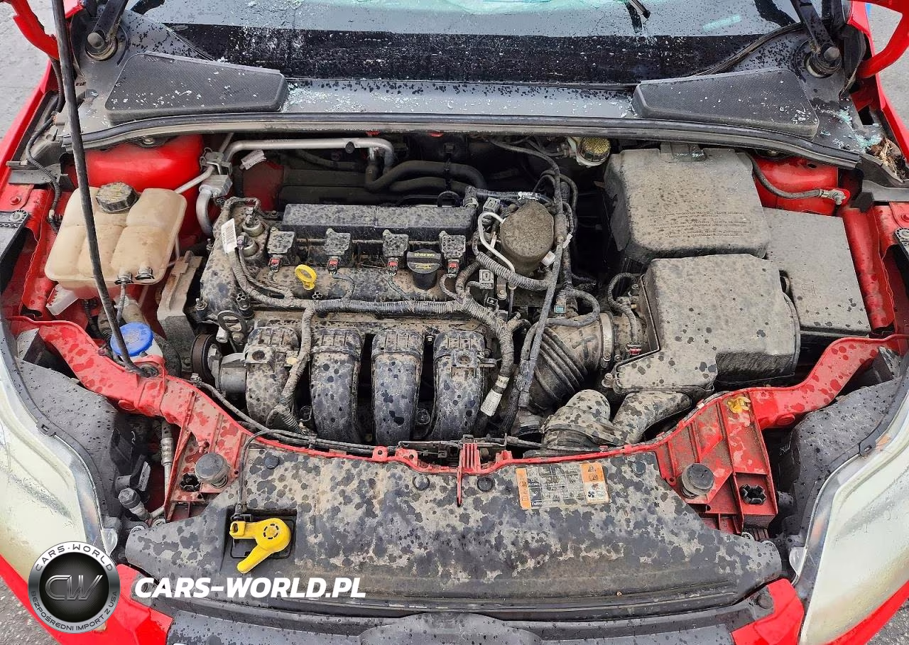 2014 Ford Focus Se VIN:1FADP3F2XEL373453 - 11