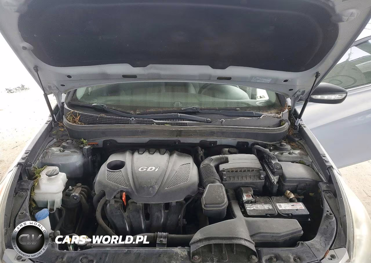 2014 Hyundai Sonata Gls VIN:5NPEB4AC1EH906961 - 11