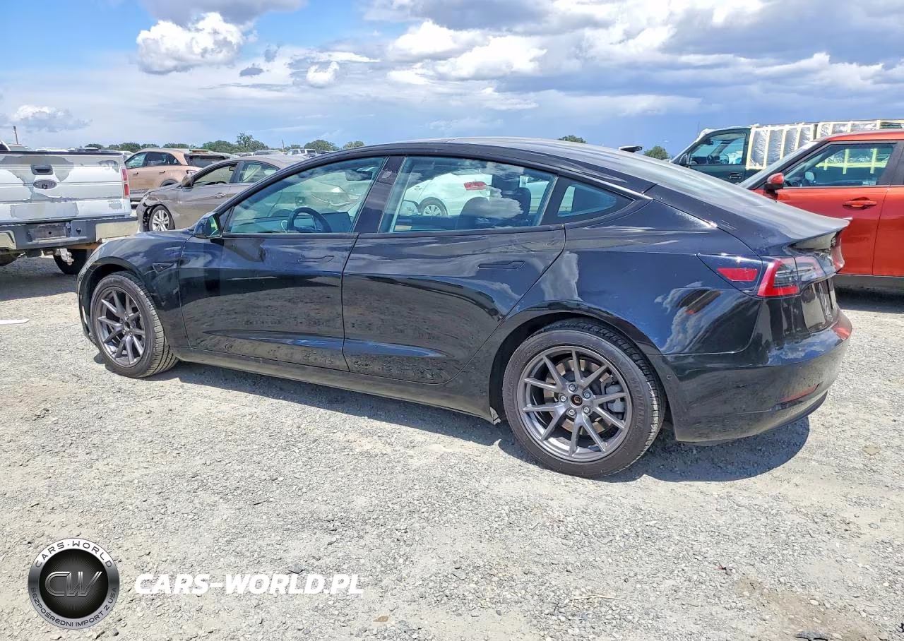 2021 Tesla Mdl 3 VIN:5YJ3E1EA1MF065842 - 2