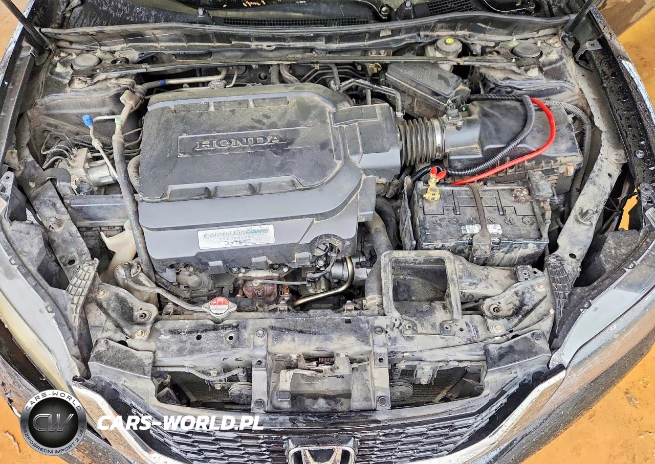 2013 Honda Accord Exl VIN:1HGCT2B80DA002352 - 11