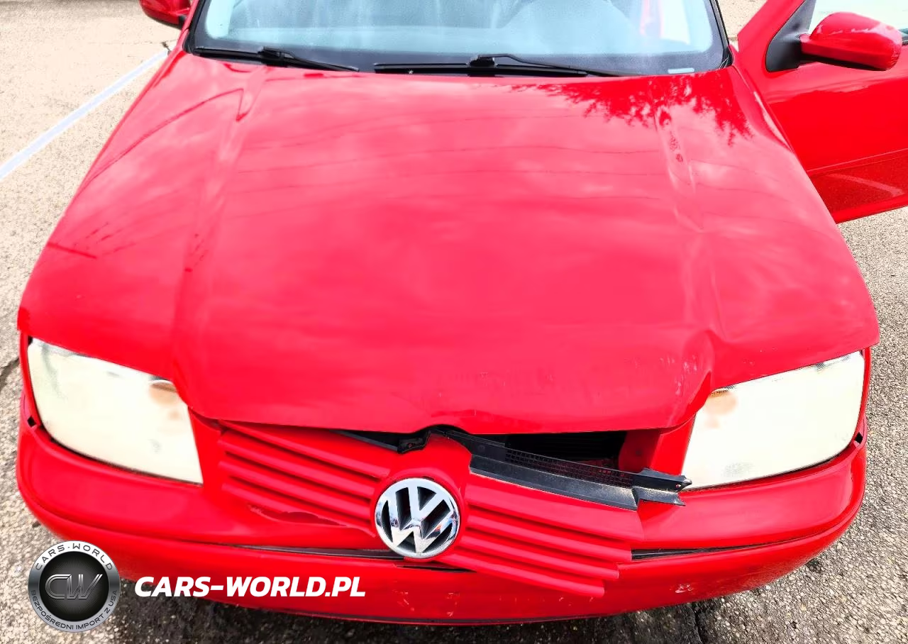 2002 Volkswagen Jetta Gls VIN:3VWSB69M82M166193 - 11