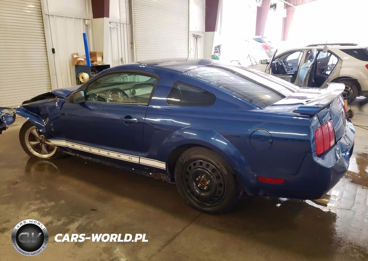 2006 Ford Mustang VIN:1ZVHT80N865240412 - 2