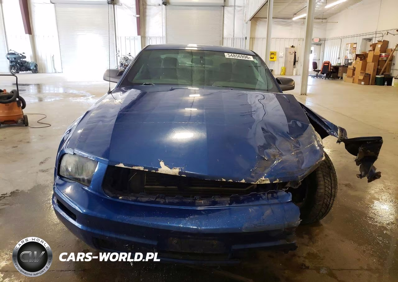 2006 Ford Mustang VIN:1ZVHT80N865240412 - 5