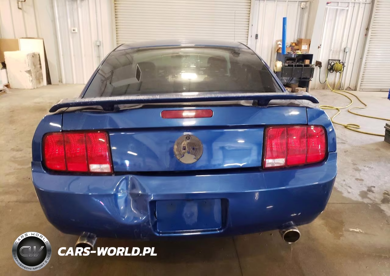 2006 Ford Mustang VIN:1ZVHT80N865240412 - 6
