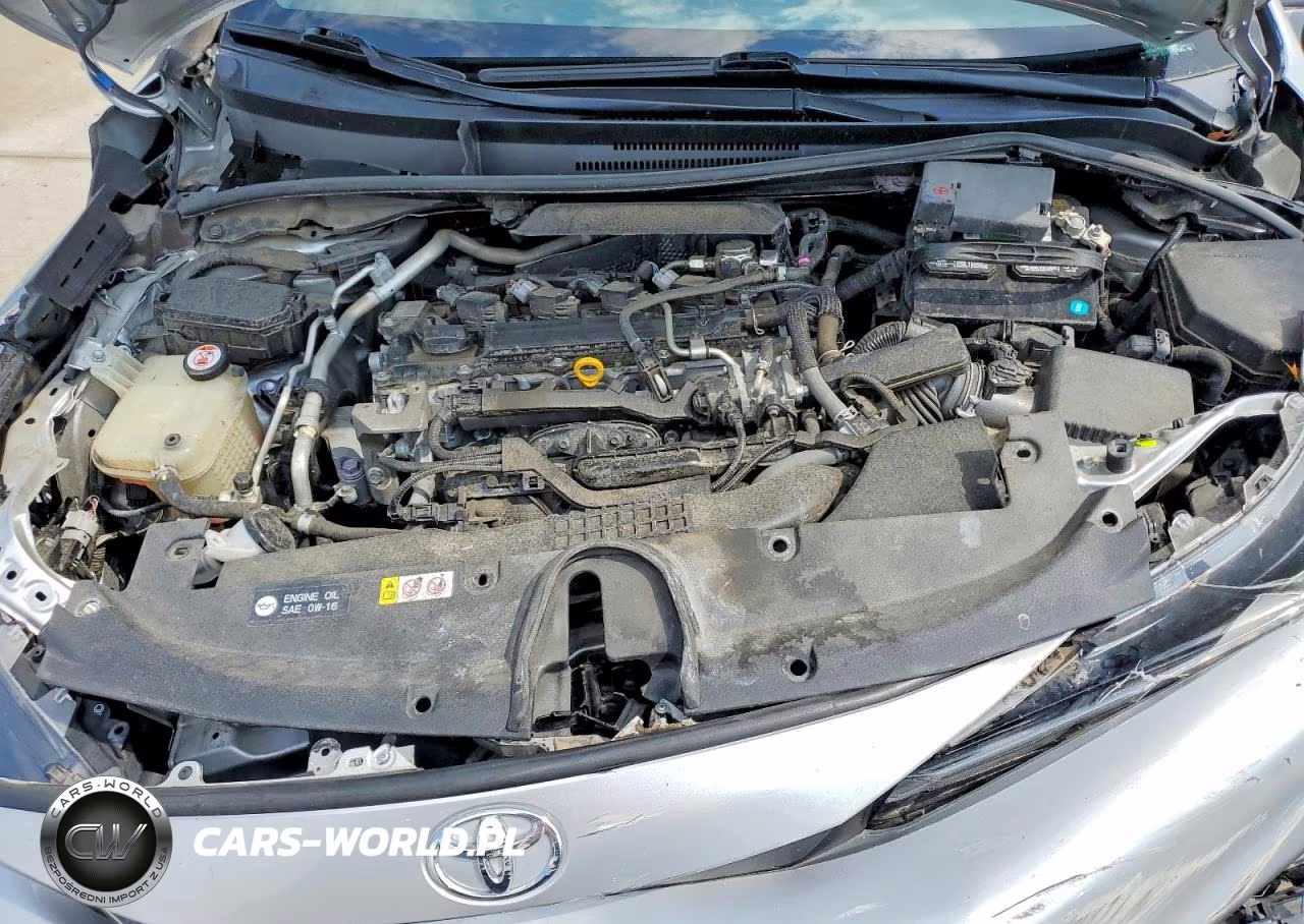 2020 Toyota Corolla Se VIN:JTDS4RCE0LJ011216 - 11