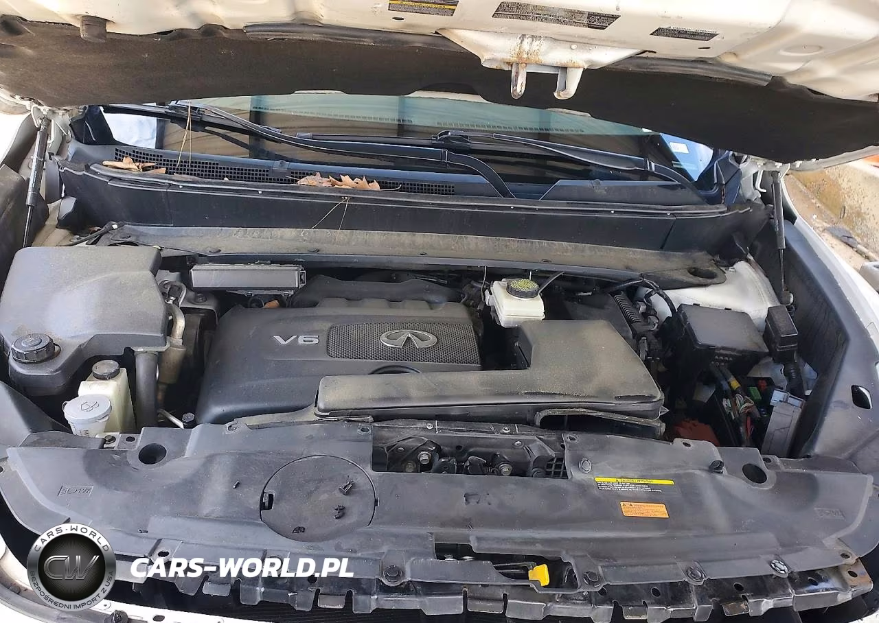 2020 Infiniti Qx60 Pure VIN:5N1DL0MN4LC537452 - 11