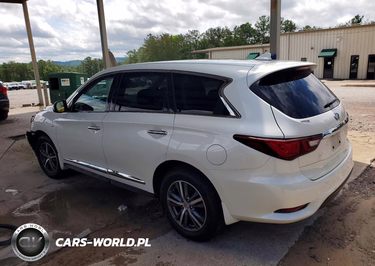 2020 Infiniti Qx60 Pure VIN:5N1DL0MN4LC537452 - 2