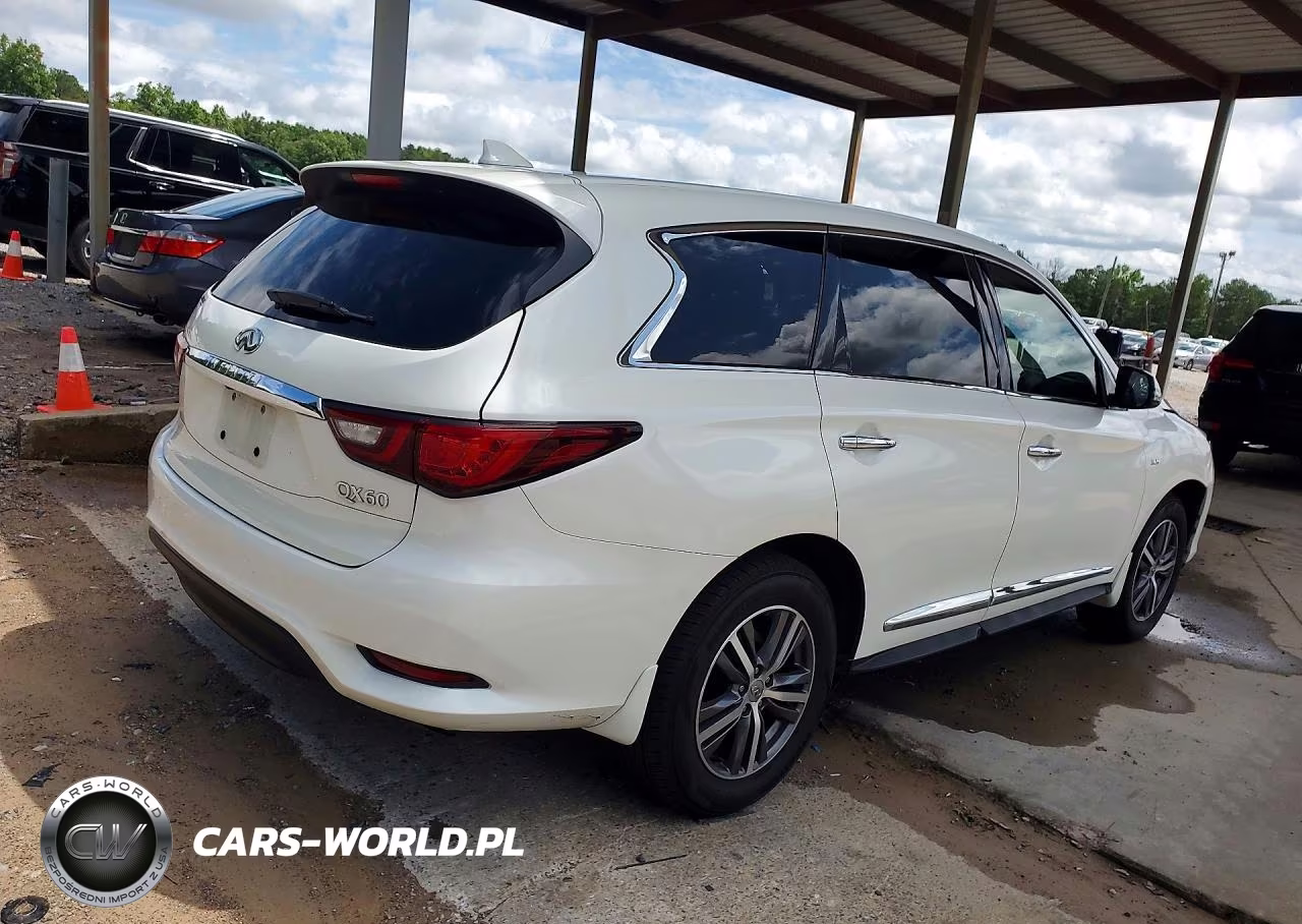 2020 Infiniti Qx60 Pure VIN:5N1DL0MN4LC537452 - 3