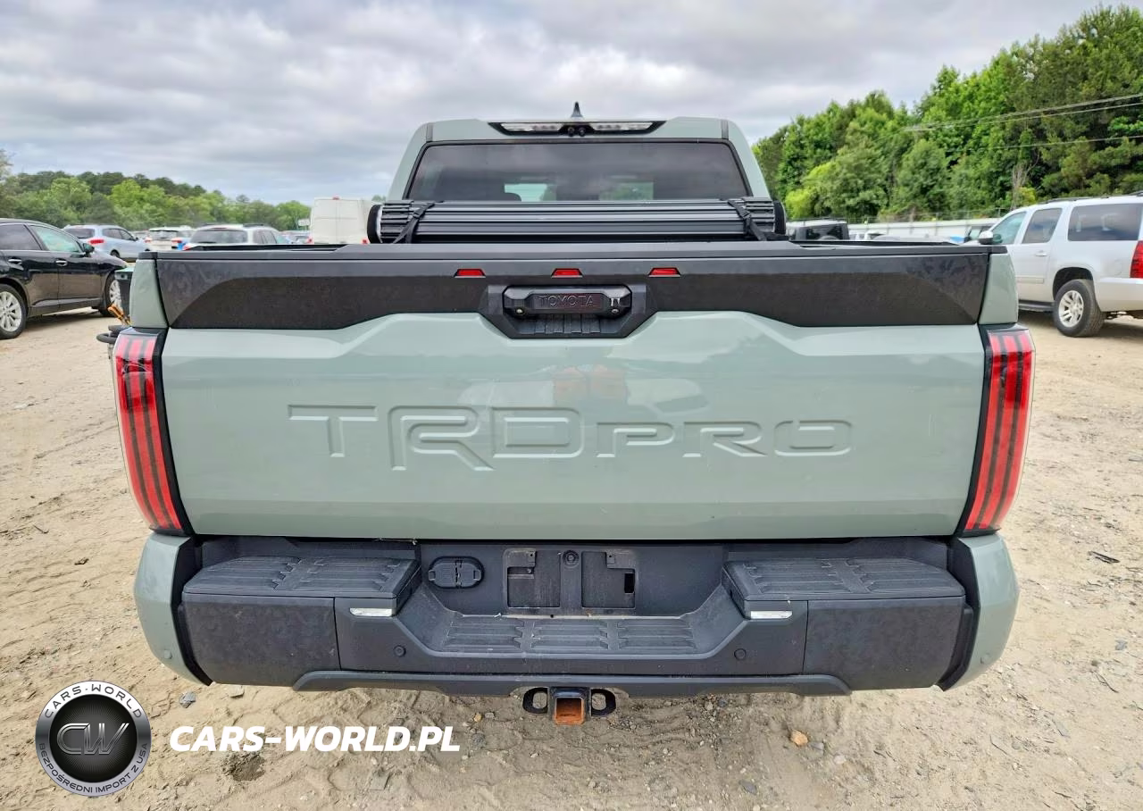 2022 Toyota Tundra Trd Pro Hv VIN:5TFPC5DB0NX003820 - 6
