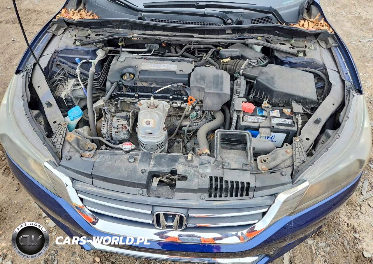 2013 Honda Accord Ex VIN:1HGCR2F78DA216571 - 11