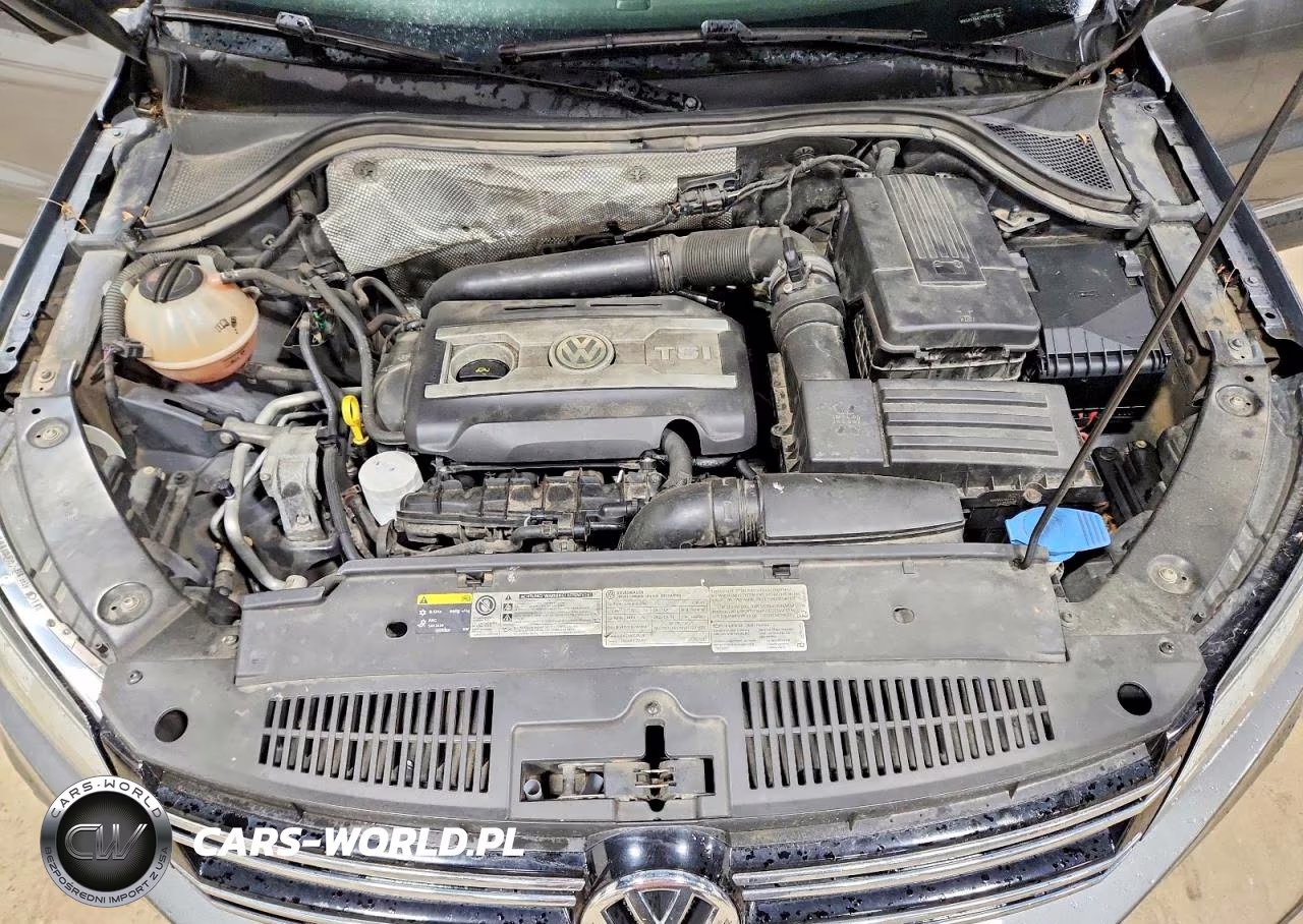 2015 Volkswagen Tiguan S VIN:WVGBV7AX1FW502497 - 12