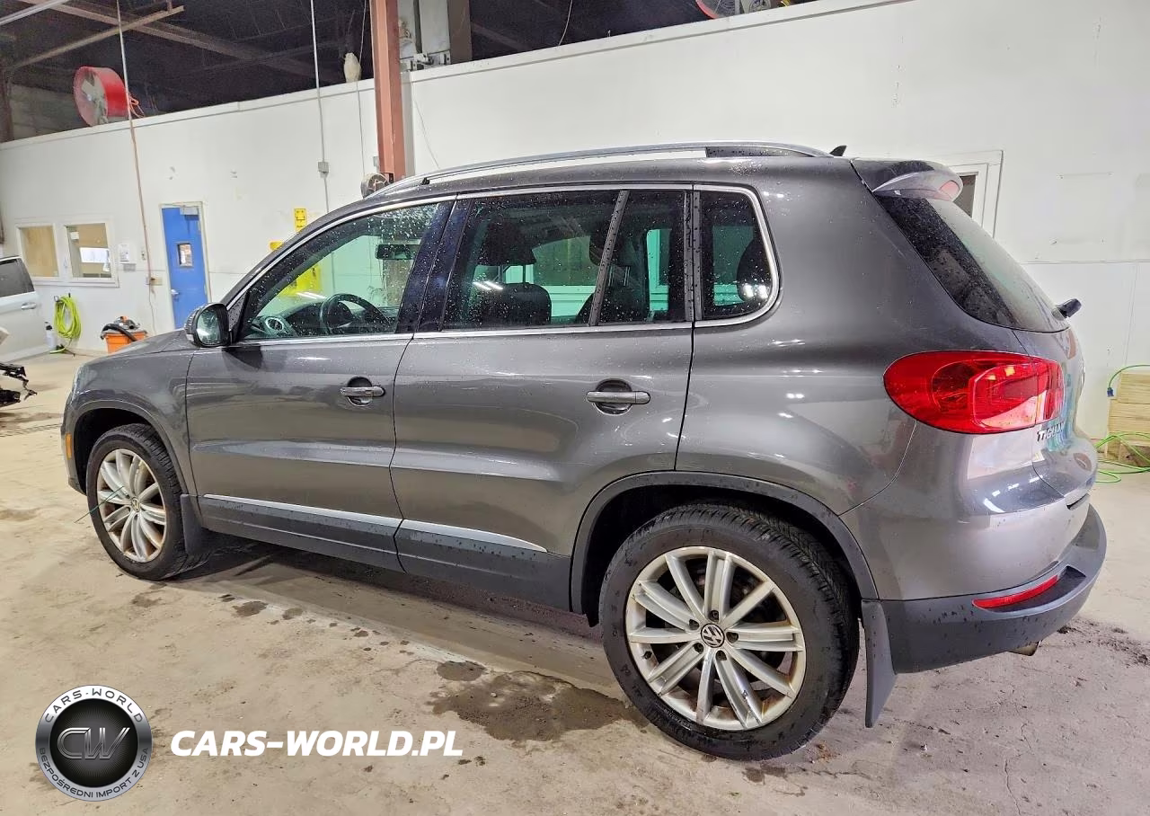 2015 Volkswagen Tiguan S VIN:WVGBV7AX1FW502497 - 2