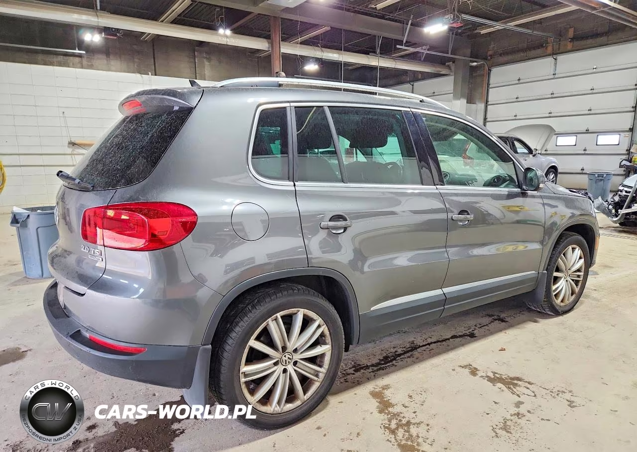 2015 Volkswagen Tiguan S VIN:WVGBV7AX1FW502497 - 3