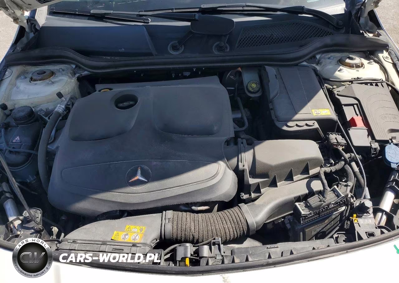 2014 Mercedes-Benz Cla 250 VIN:WDDSJ4EB0EN048587 - 11
