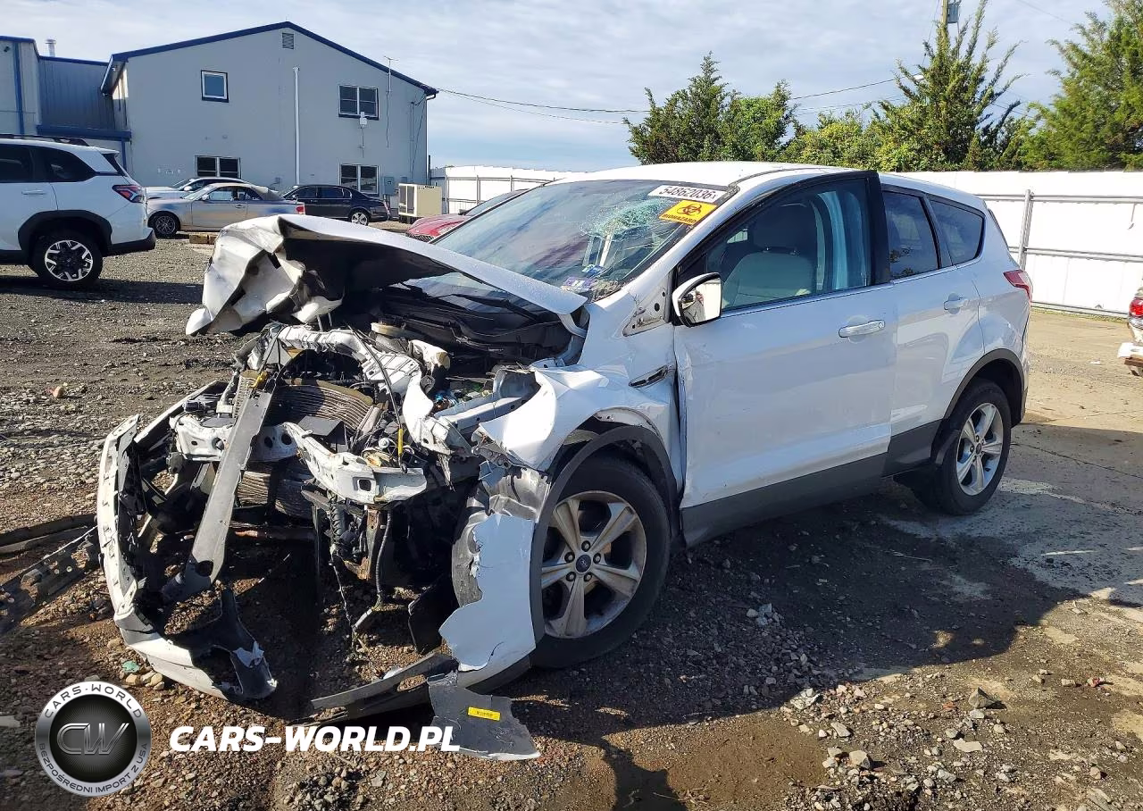2014 Ford Escape Se