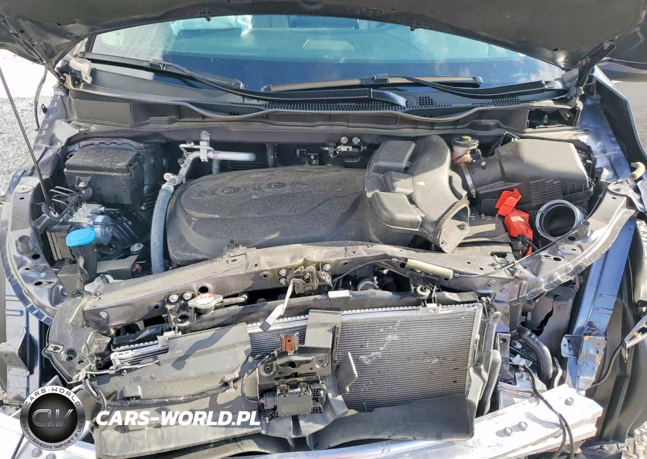 2024 Honda Odyssey Exl VIN:5FNRL6H62RB002809 - 12