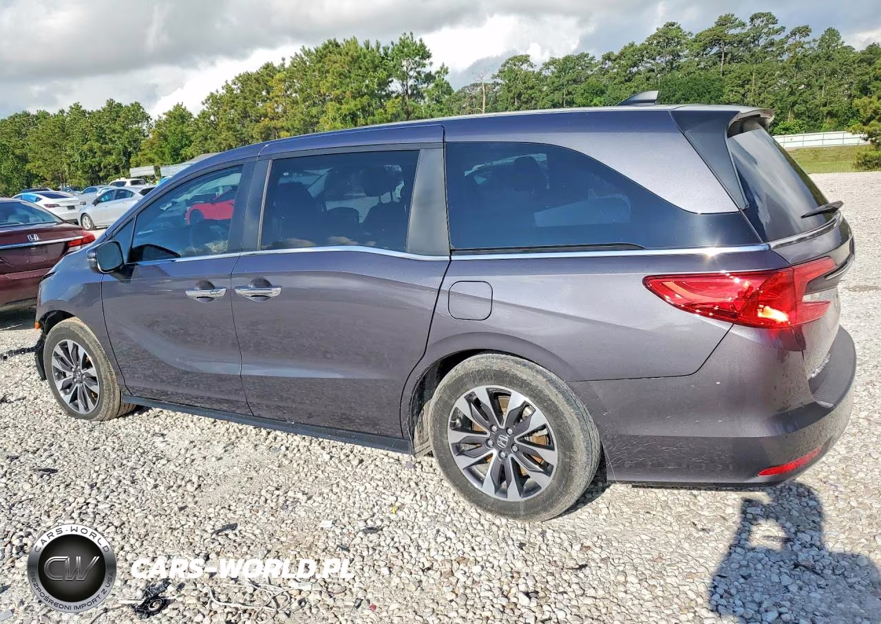 2024 Honda Odyssey Exl VIN:5FNRL6H62RB002809 - 2