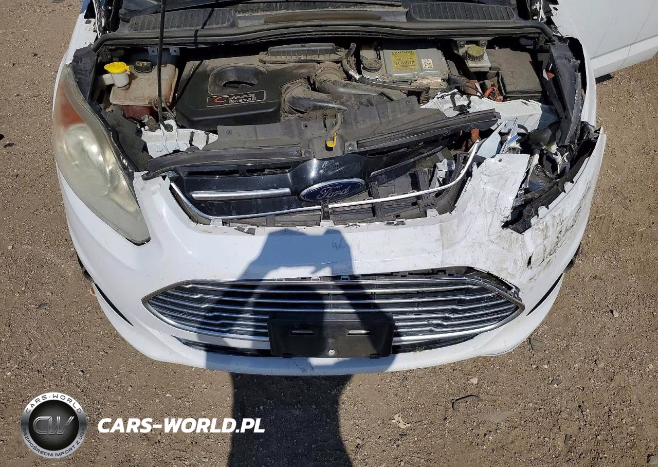 2014 Ford C-Max Premium VIN:1FADP5CU7EL521320 - 11