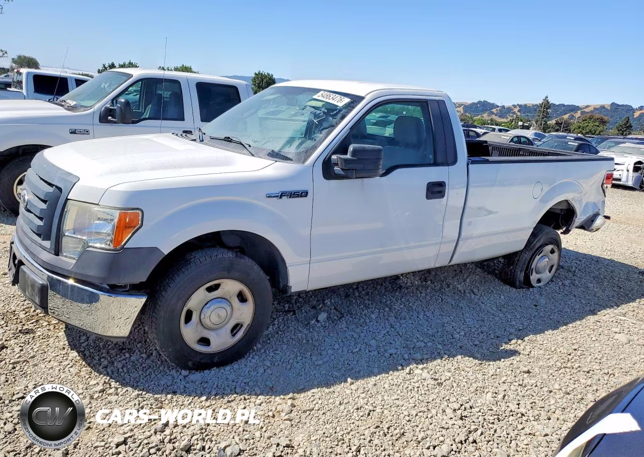2009 Ford F150