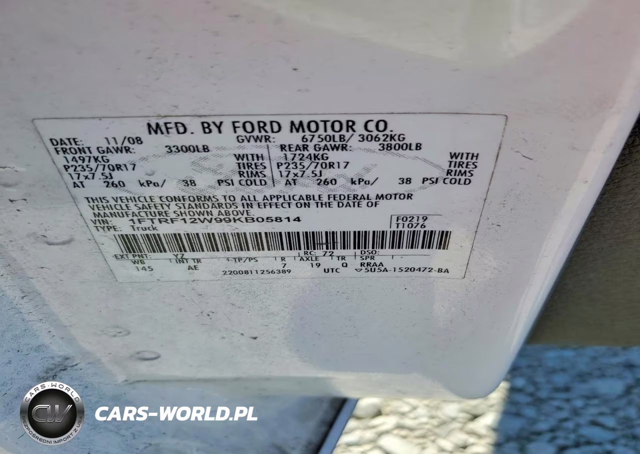 2009 Ford F150 VIN:1FTRF12W99KB05814 - 12