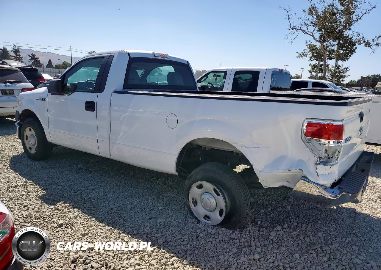 2009 Ford F150 VIN:1FTRF12W99KB05814 - 2