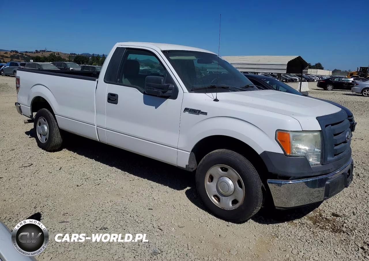 2009 Ford F150 VIN:1FTRF12W99KB05814 - 4
