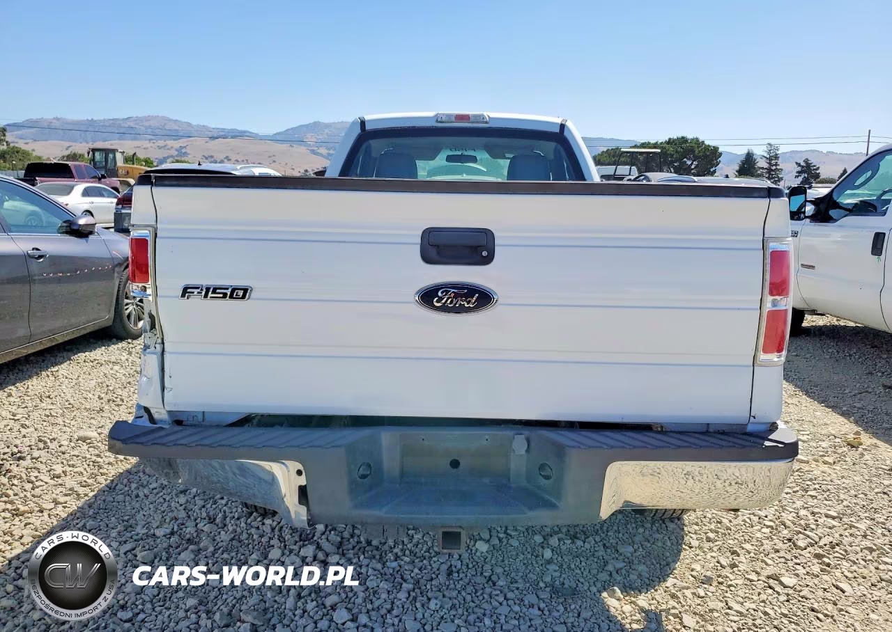 2009 Ford F150 VIN:1FTRF12W99KB05814 - 6